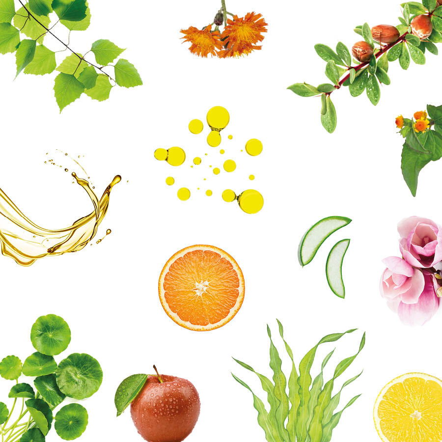 Verschiedene Pflanzen-Wirkstoffe