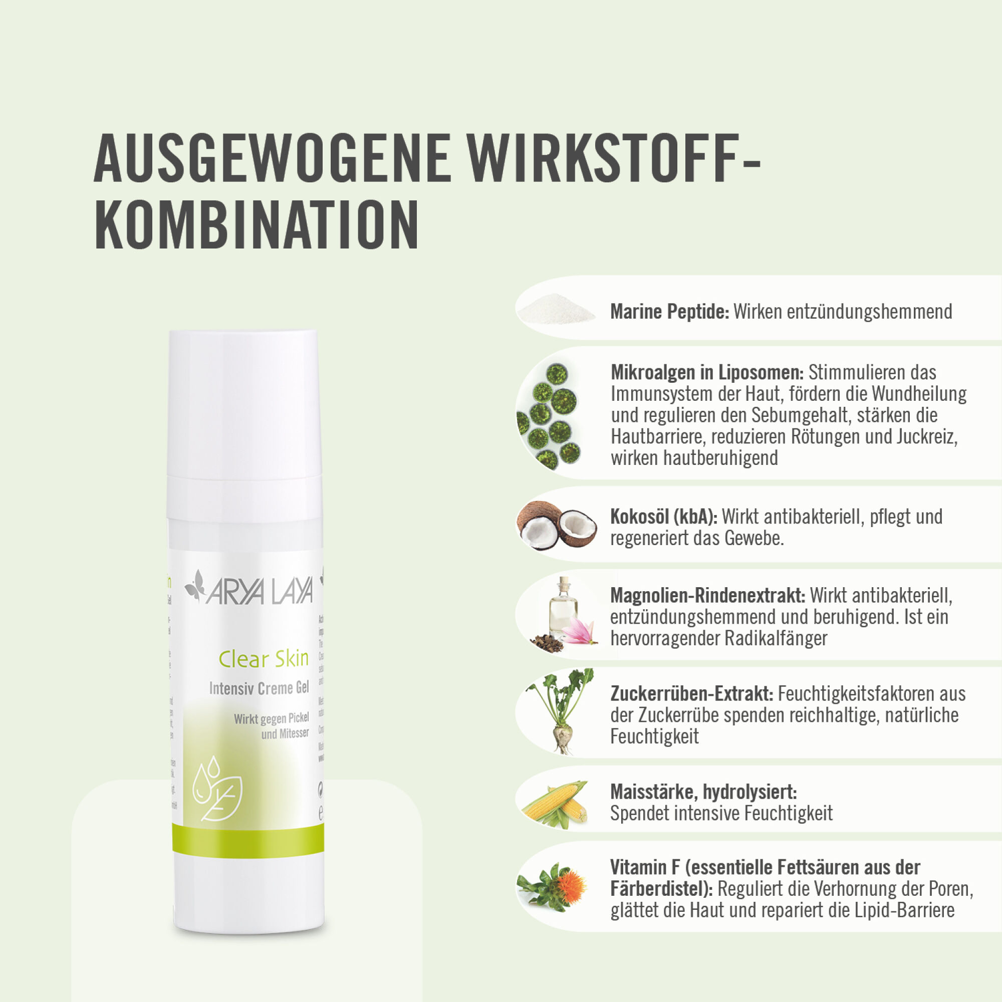 Wirkstoffe ARYA LAYA Clear Skin Intensiv Creme Gel