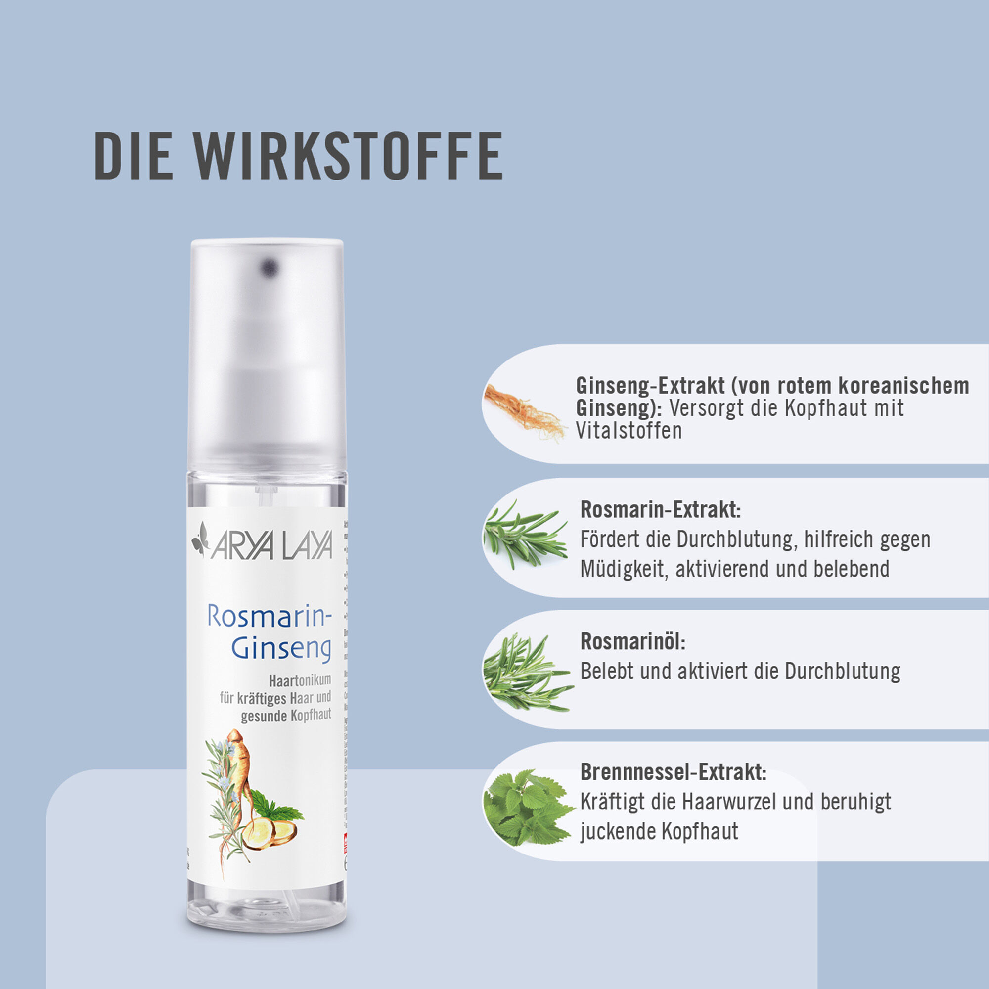 Wirkstoffe ARYA LAYA Rosmarin-Ginseng Haartonikum
