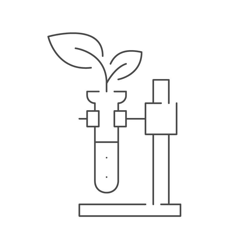 Reagenzglas mit Pflänzchen
