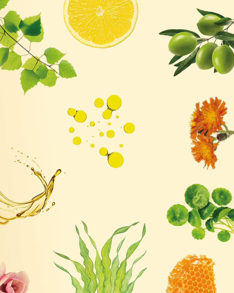 Hautbildberatung starten