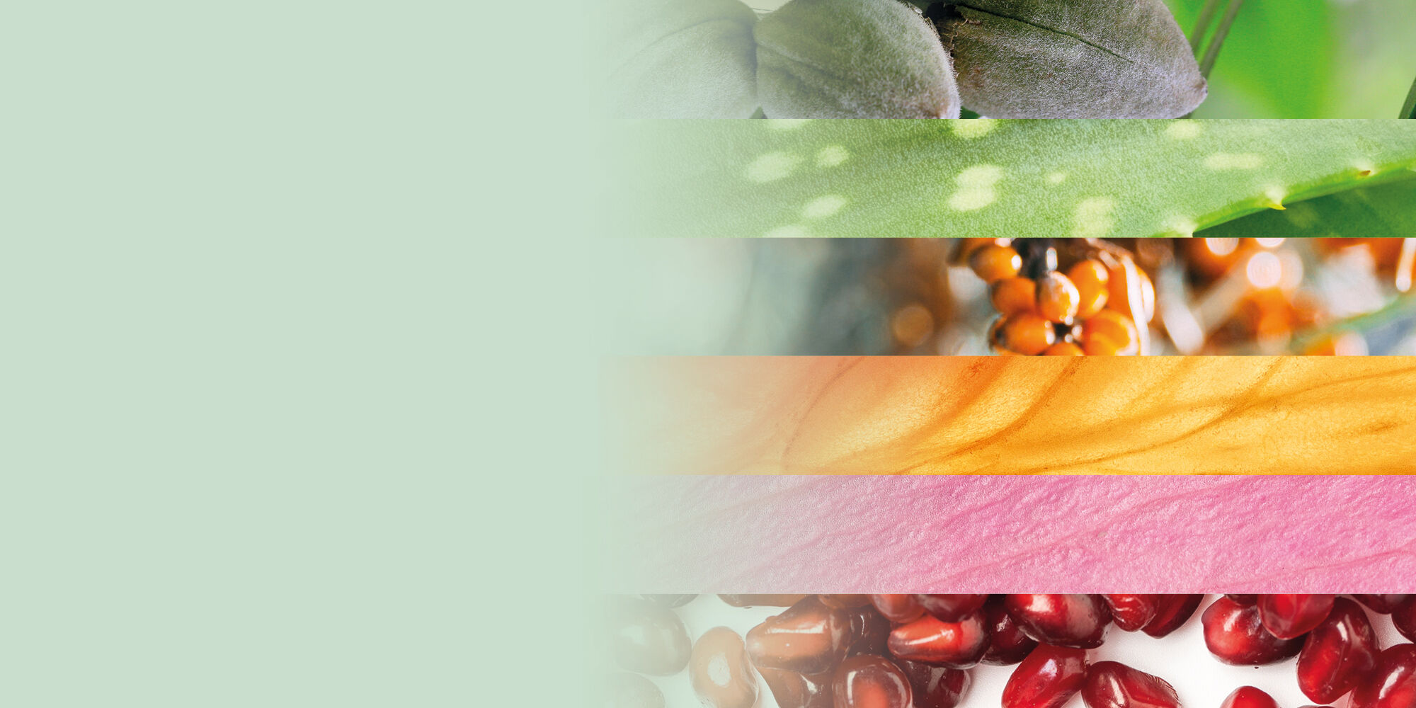 verschiedene Wirkstoffe in Streifen gelegt