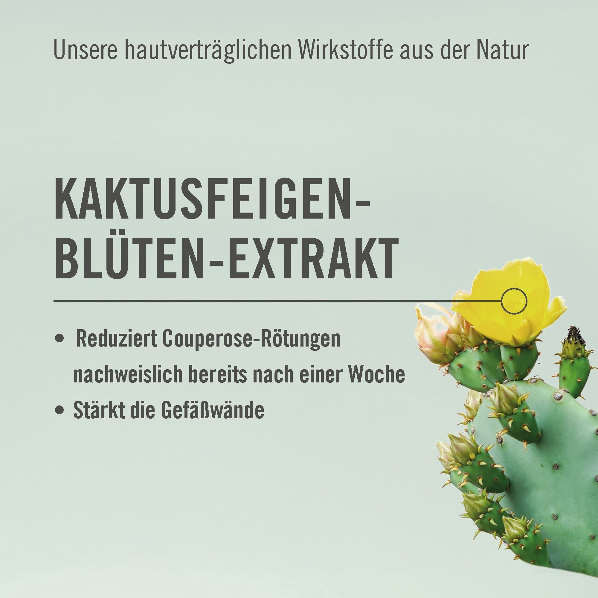 ARYA LAYA Wirkstoff Kaktusfeigenblüten-Extrakt