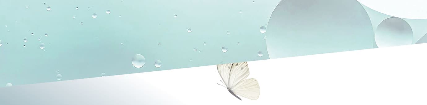 Schmetterling auf blauem Hintergrund