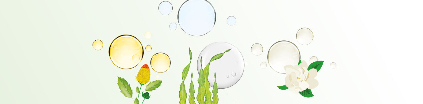 Parakresse und gelbe Bläschen