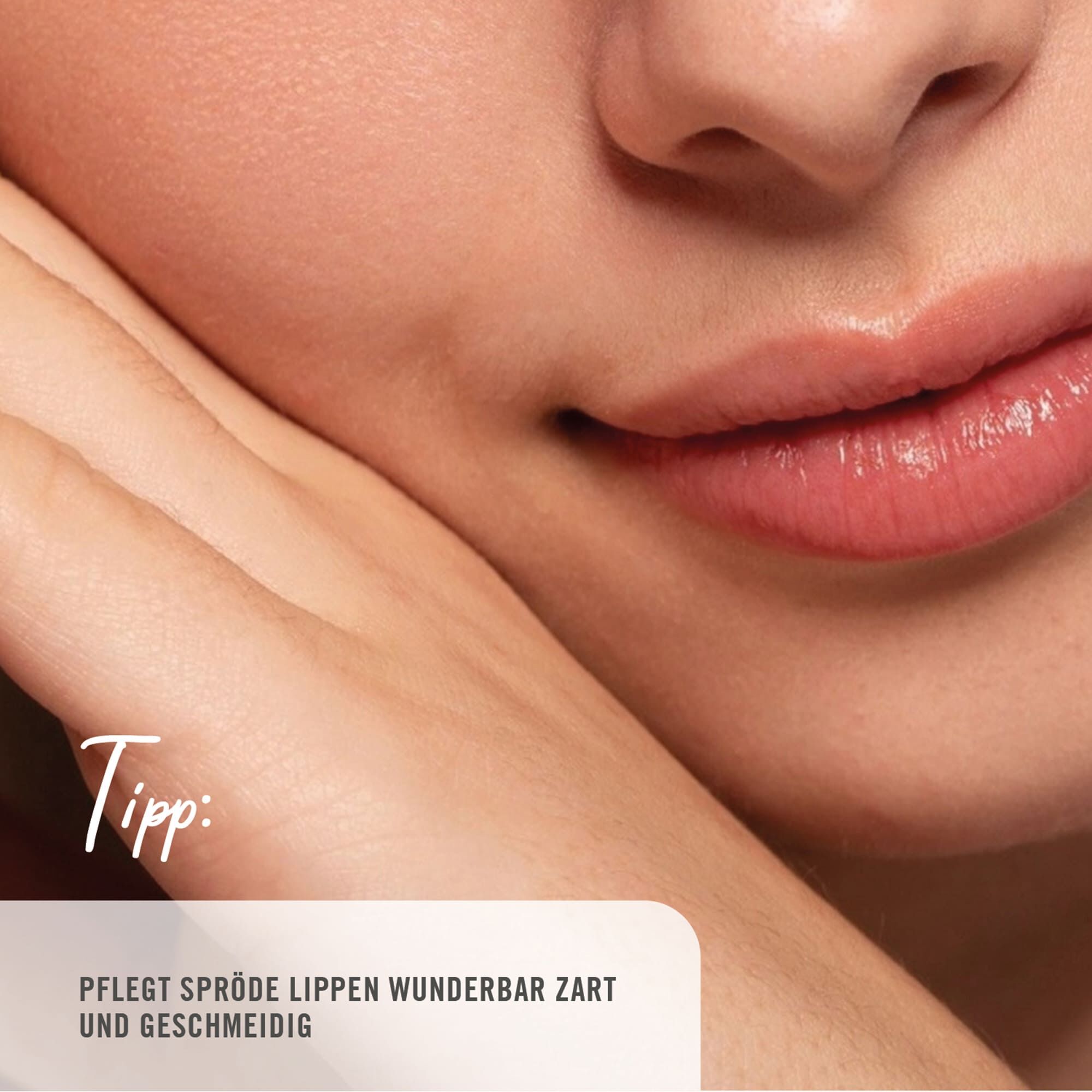 Lippenpflege ARYA LAYA Sheabutter