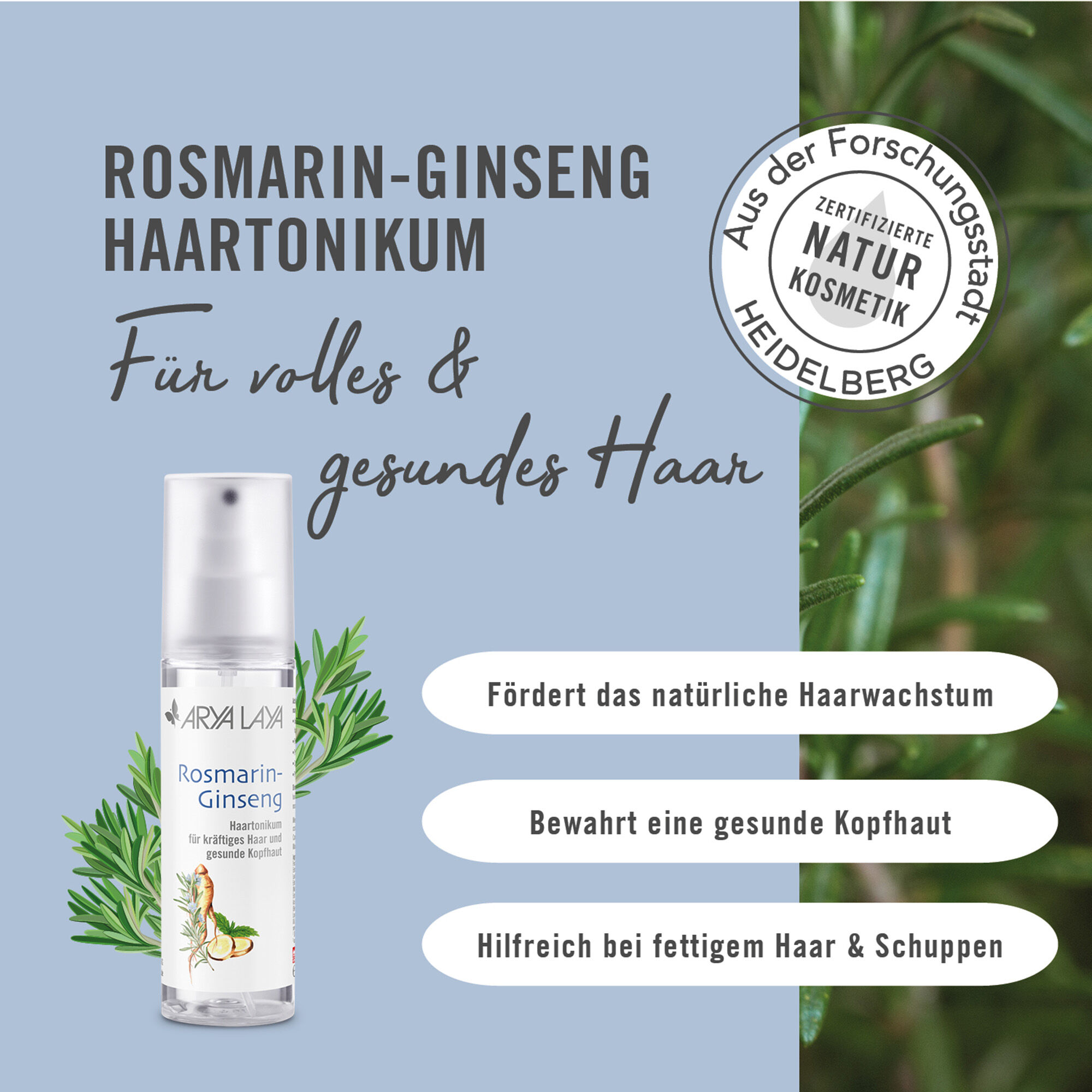 Wirkweise ARYA LAYA Rosmarin-Ginseng Haartonikum