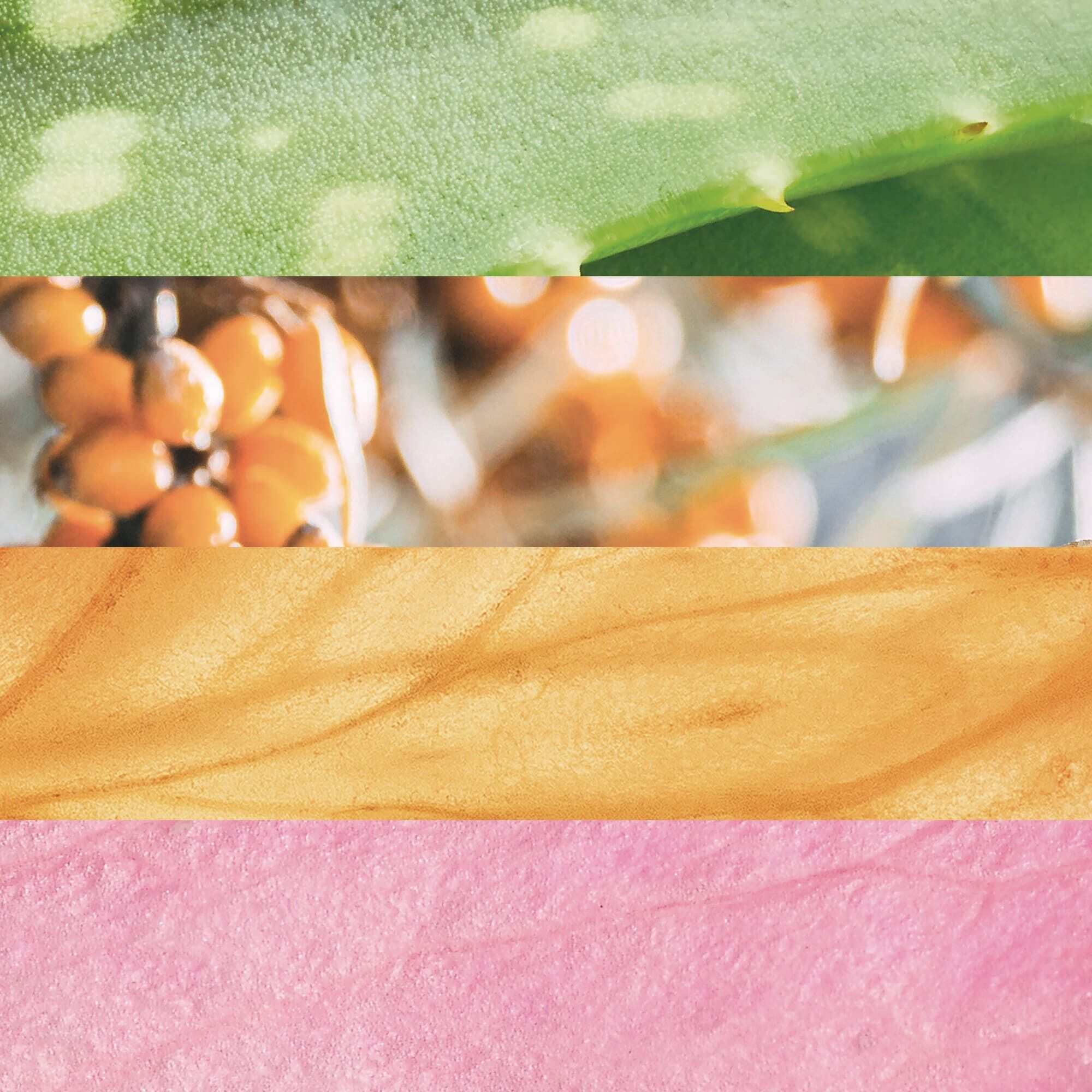 Collage verschiedener Pflanzen