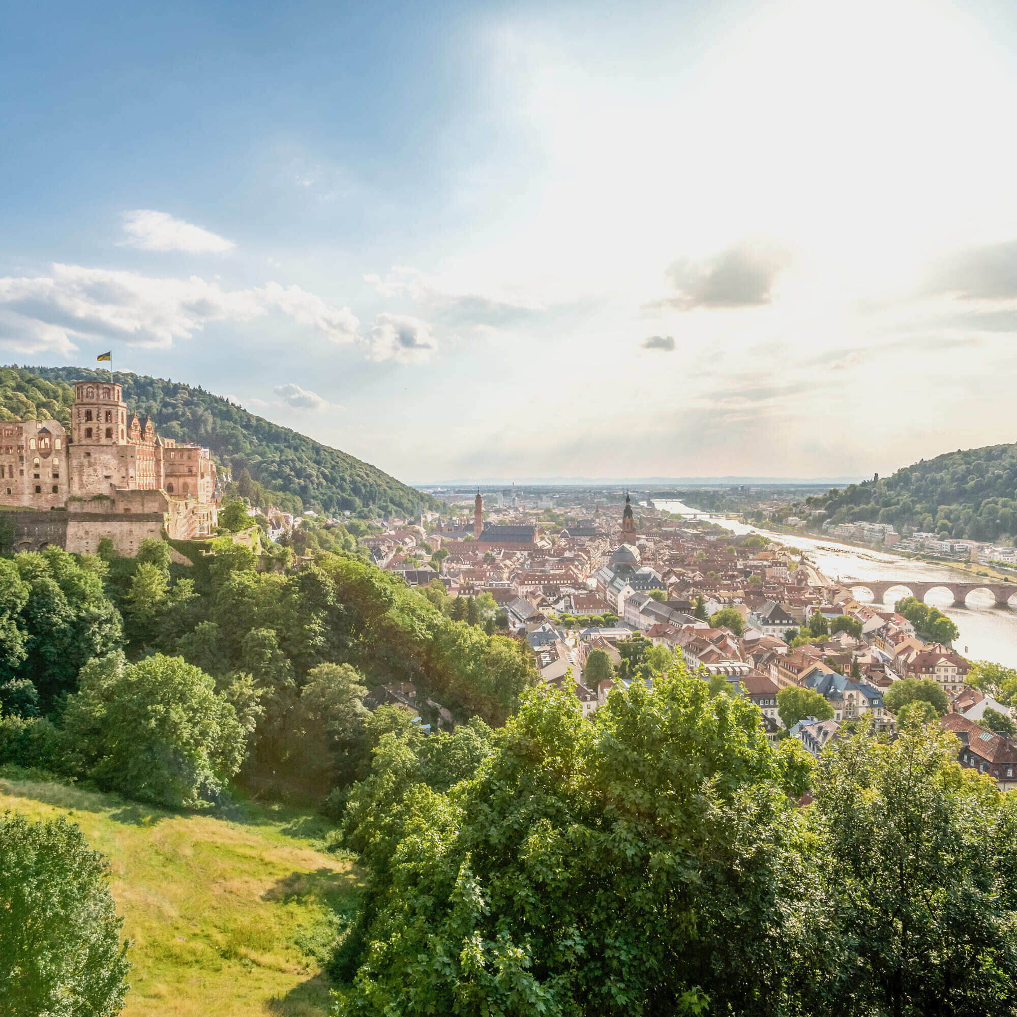 Heidelberg mit Schloss und Brücke