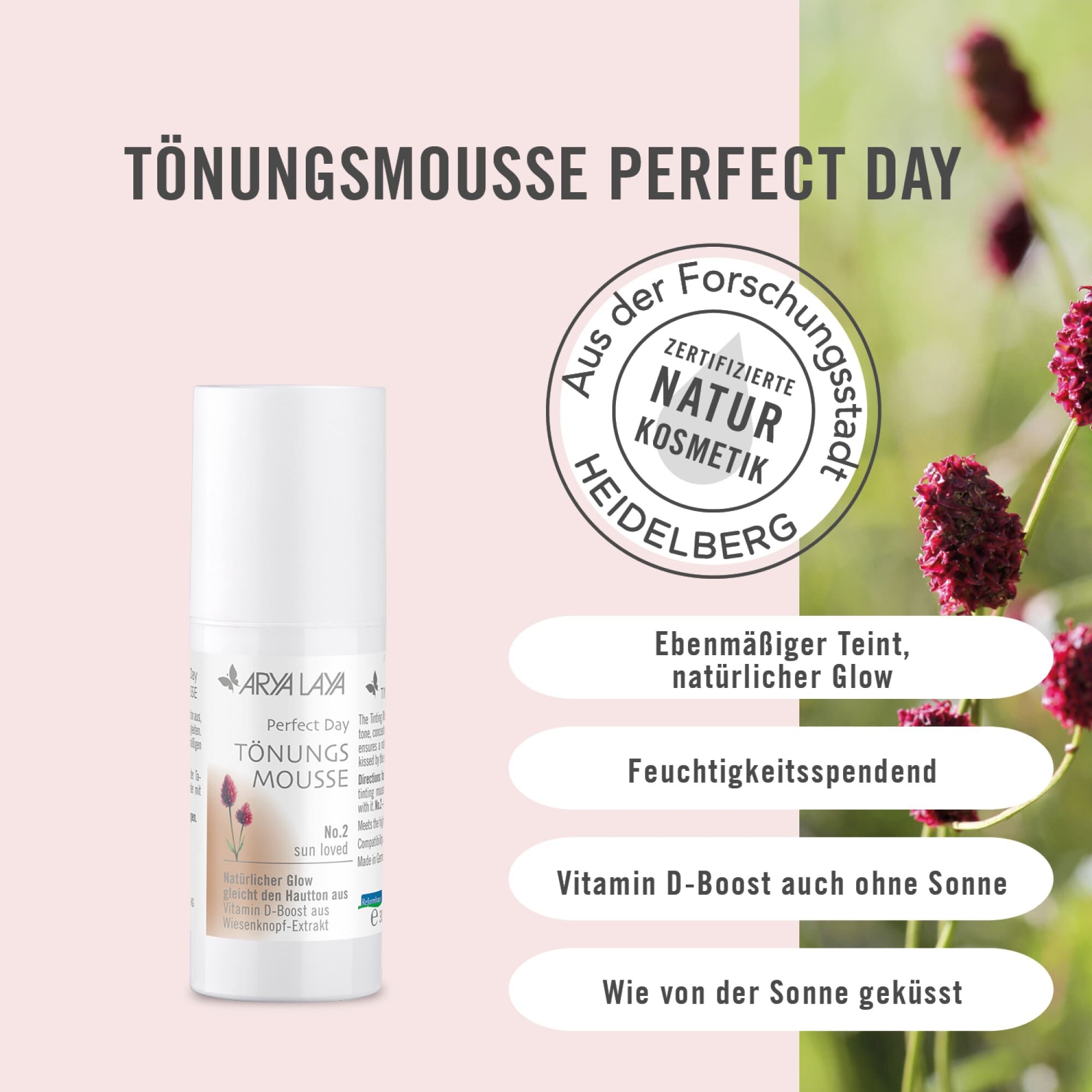 Wirkweise ARYA LAYA Tönungsmousse Perfect Day No. 2